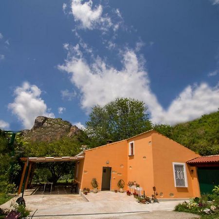 B&B Casa Vacanze Benvenuti Al Sud Aiello Calabro Ngoại thất bức ảnh