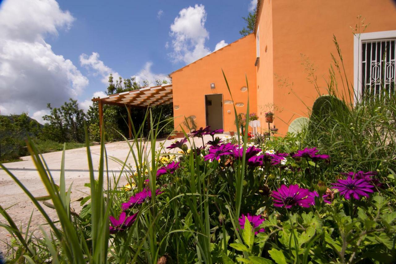 B&B Casa Vacanze Benvenuti Al Sud Aiello Calabro Ngoại thất bức ảnh
